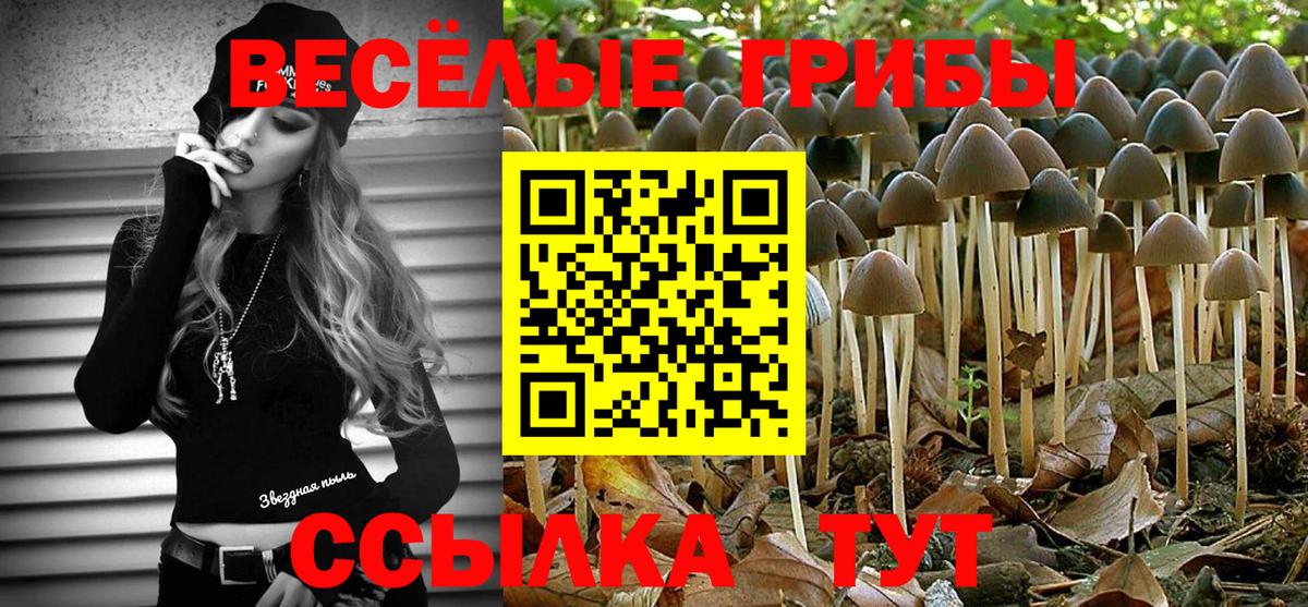 Галлюциногенные грибы Psilocybe Красноярск