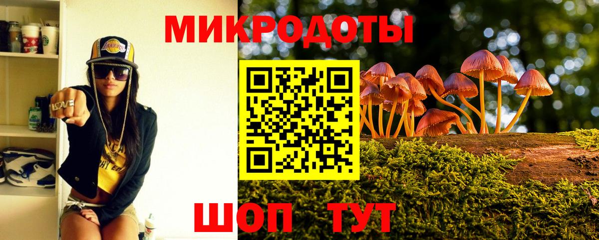Псилоцибиновые грибы Красноярск